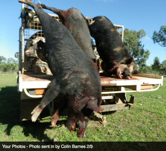 Screen Shot 2013-10-02 at 1.34.03 PM